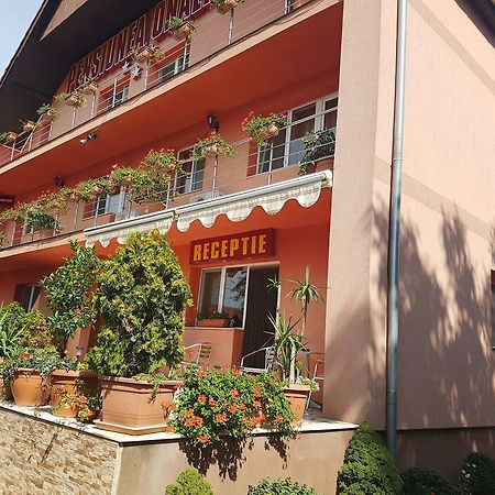 Onalisa Hotel Arad Luaran gambar