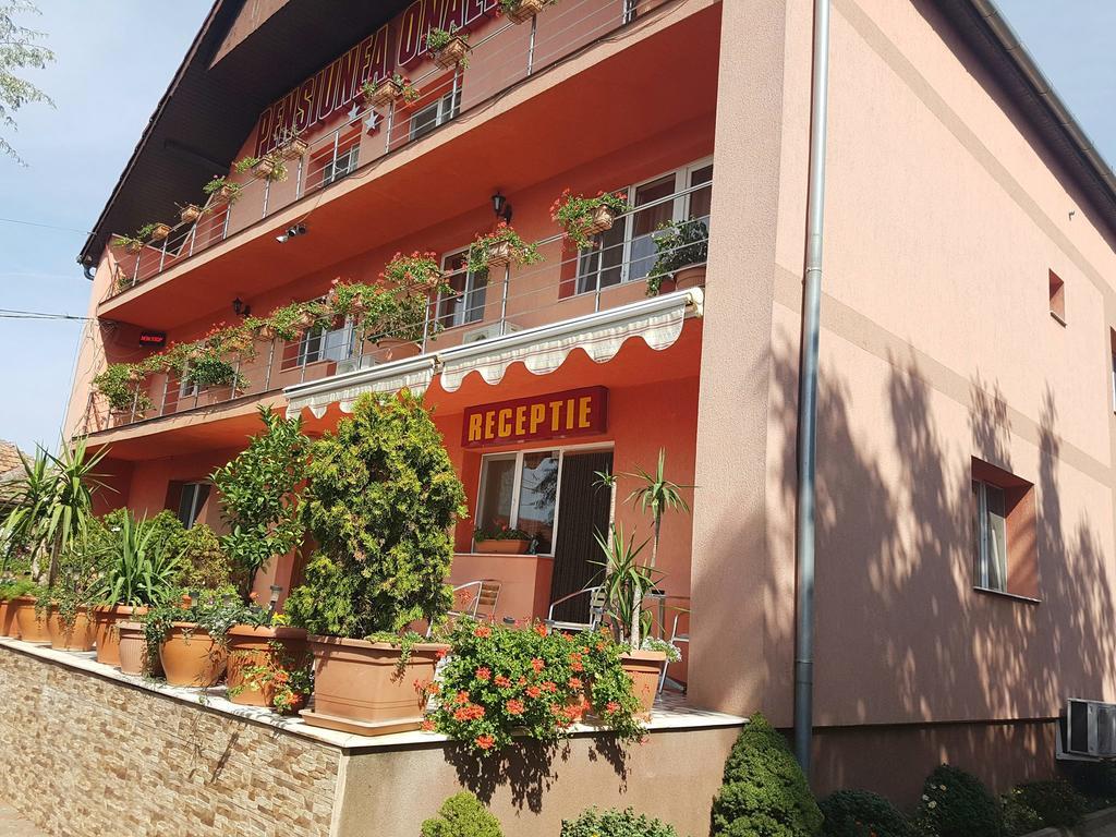 Onalisa Hotel Arad Luaran gambar