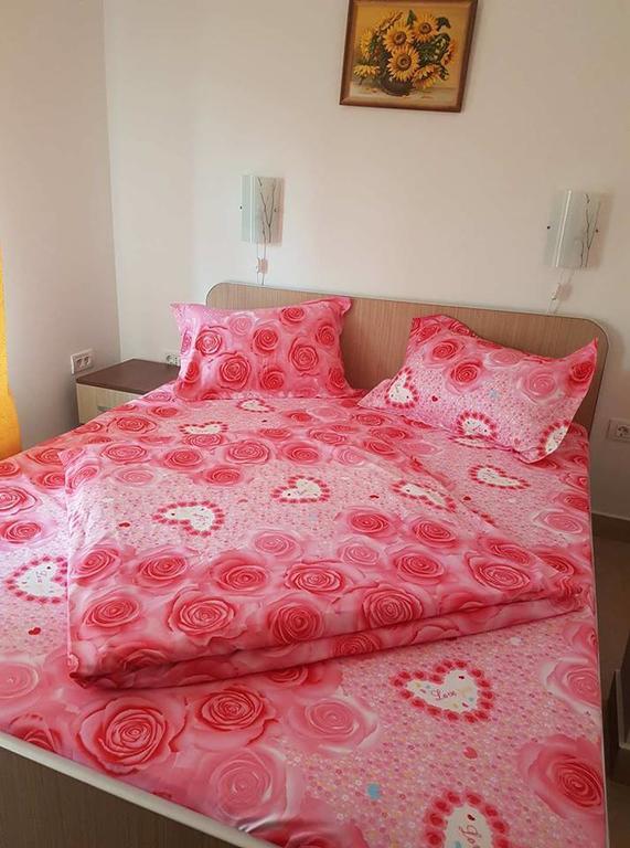Onalisa Hotel Arad Luaran gambar