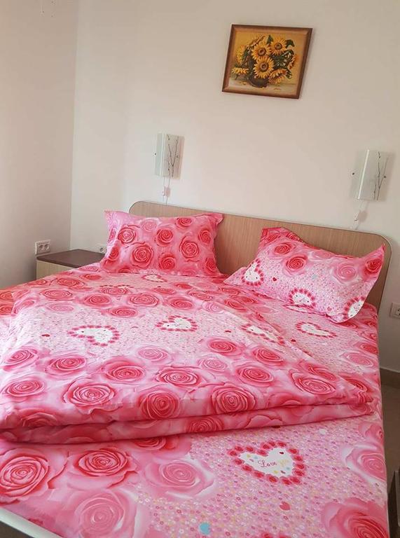 Onalisa Hotel Arad Luaran gambar